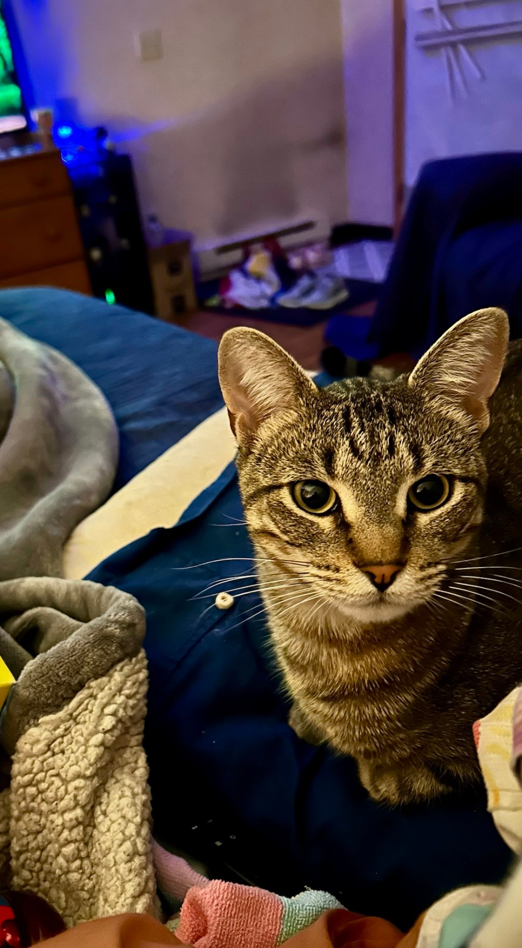 Bobber is my Best&nbsp;Buddy