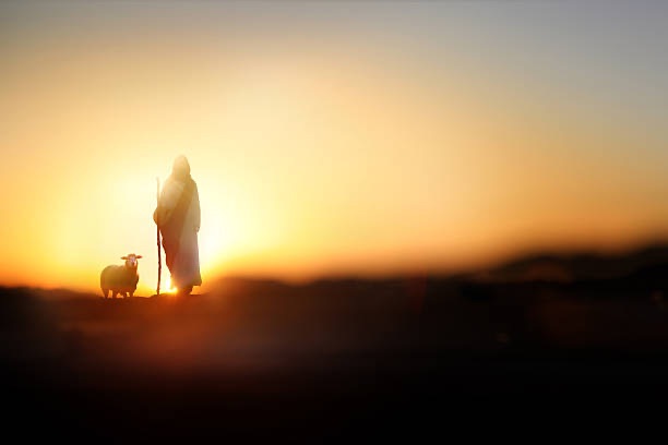 First Light