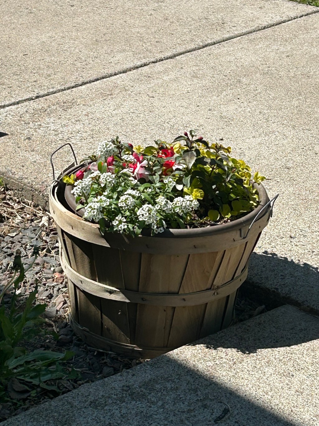 Gardening